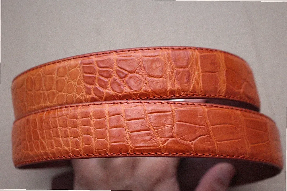 Orange Genuine CROC Leather Skin Men's BELT